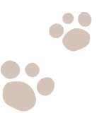paw